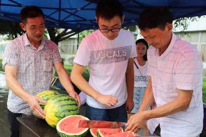 52D040CCECC6EE370E0B5C702360154F