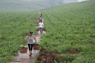 B90F73B781527C28A745B374167808F7