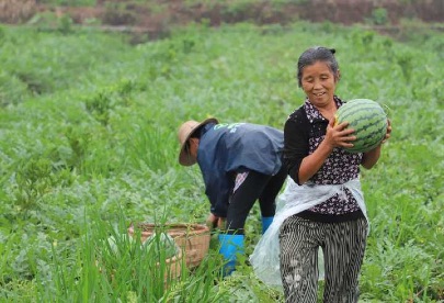 7FCD7B6AD6AF5BB114B4283B79C54525